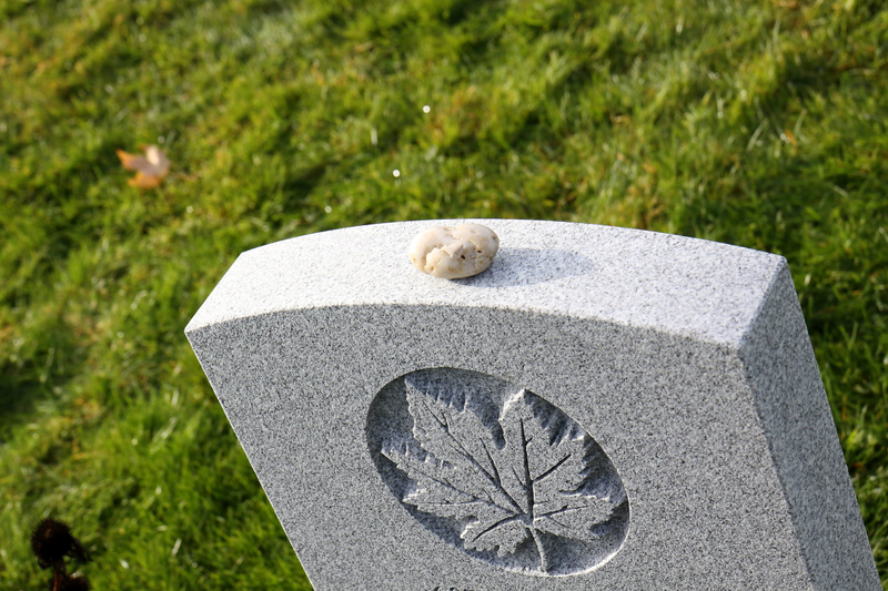 Illustration for article titled 2018 Remembrance Day at Mountain View Cemetery